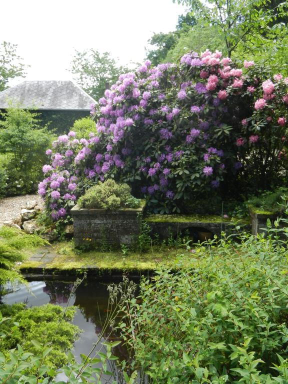 Les Roulottes De La Risle Villa Calleville Szoba fotó