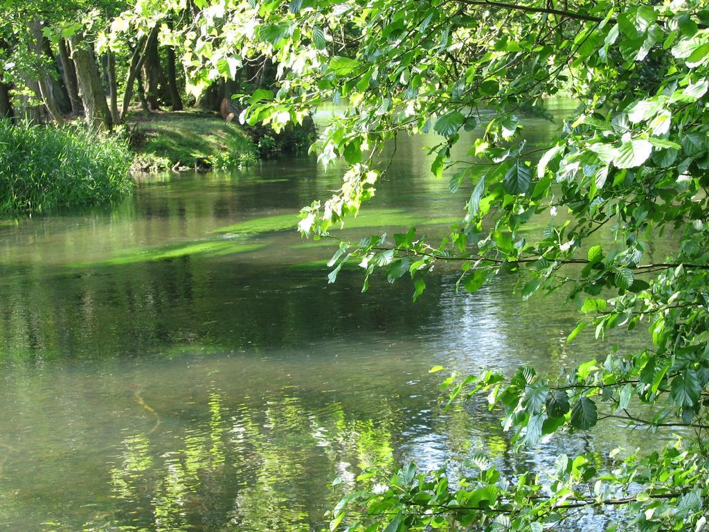 Les Roulottes De La Risle Villa Calleville Szoba fotó